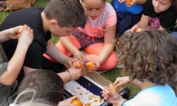 Parcours Du Coeur Scolaire   042